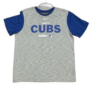Men's Nike Chicago Cubs Dri-Fit Shirt MLB Baseball Gray EUC Sz XL